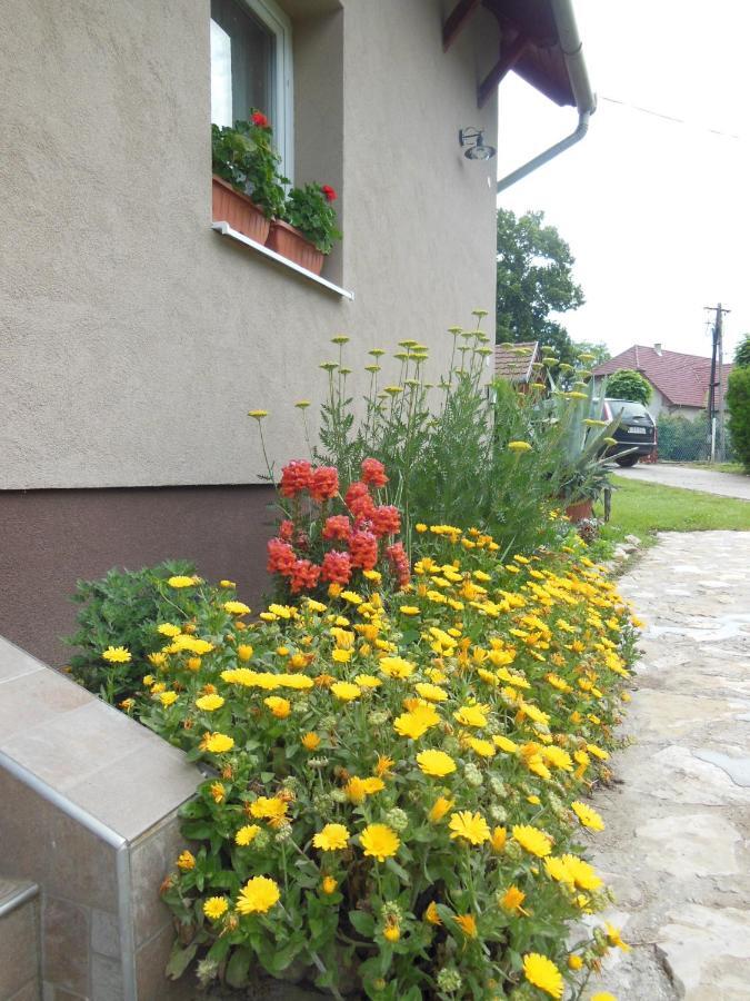 Viragos Apartman Balatonszemes Exterior photo